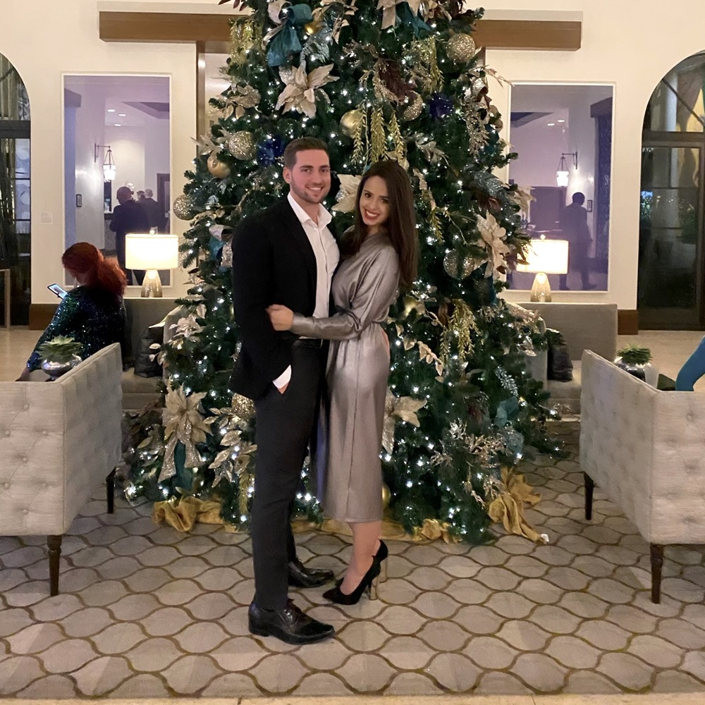 Lush Holiday Party Dress